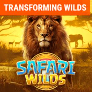 Safari